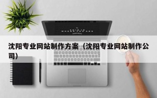 河池沈阳专业网站制作方案（沈阳专业网站制作公司）
